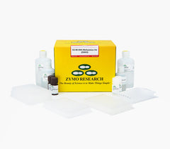 Streamlined bisulfite treatment of DNA.
