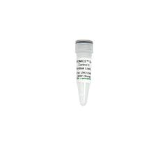 ZymoBIOMICS Spike-in Control II (Low Microbial Load)
