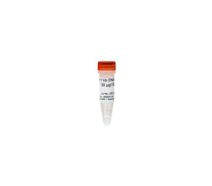 ZR 1kb DNA Marker
